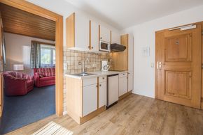 Detaillierte Infos zur Unterkunft Appartement Pitterle