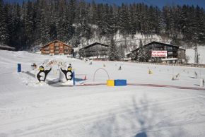 Ferienhaus Schiwiese