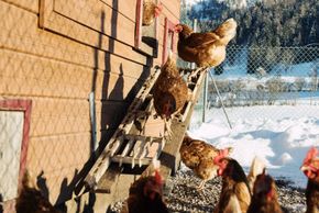 Detaillierte Infos zur Unterkunft Feriengut Unterhochstätt