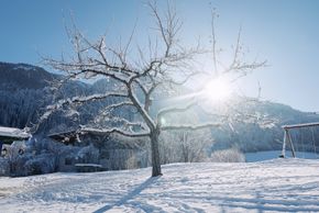 Detaillierte Infos zur Unterkunft Feriengut Unterhochstätt