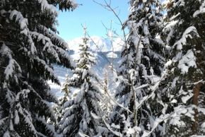 Detaillierte Infos zur Unterkunft Mitterunterberghof