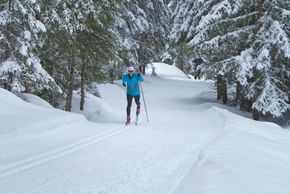Langlaufen im Winterwald