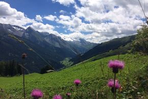Sommer im Tuxertal