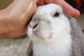 Detaillierte Infos zur Unterkunft Fewo Astlhof Kreuzer