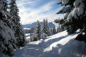 Detaillierte Infos zur Unterkunft Fewo Costanzi A.