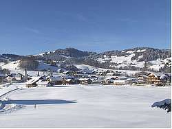 Detaillierte Infos zur Unterkunft Wälderhaus Apartments Bregenzerwald Schwarzenberg