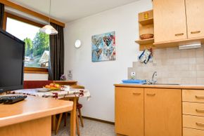 Detaillierte Infos zur Unterkunft Manuel's Apartments Watschinger