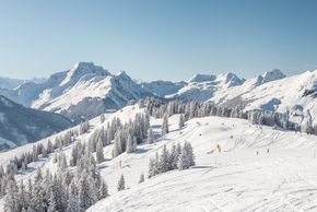 Apartments Niederseer