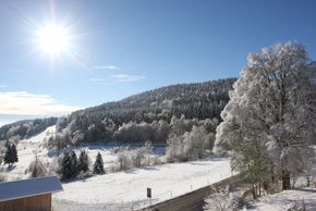 Detaillierte Infos zur Unterkunft Gasthof Reiner