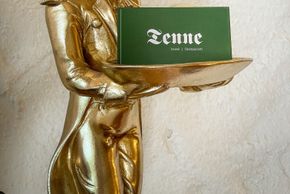 Detaillierte Infos zur Unterkunft Hotel Restaurant TENNE