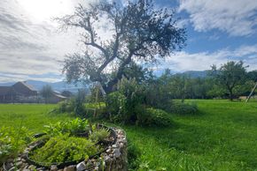 Unser Kräuter- und Obstgarten