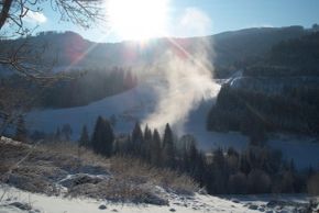 Detaillierte Infos zur Unterkunft Grundnerhof