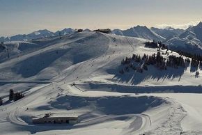 Detaillierte Infos zur Unterkunft Guggenhof - Urlaub am Bauernhof