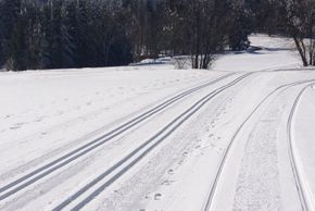 Detaillierte Infos zur Unterkunft Harmonie Hotel Rust