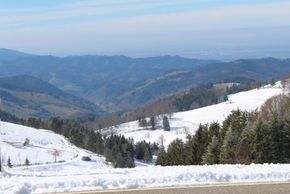 Landschaft um St.Blasien