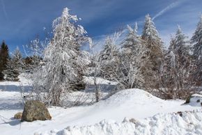 Landschaft um St.Blasien