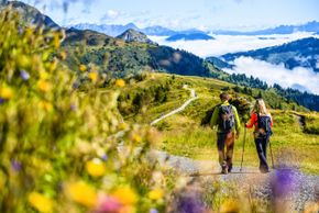 Detaillierte Infos zur Unterkunft Haus MITTERLECHNER