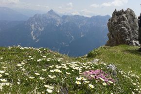 Frühling in der Schlick 2000