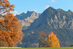 goldener Herbst in Obermaiselstein