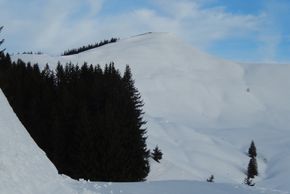 Riedberger Horn