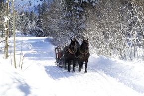 Detaillierte Infos zur Unterkunft Haus Diana