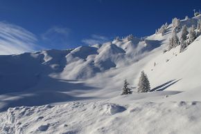 Detaillierte Infos zur Unterkunft Haus Diana