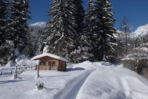 Detaillierte Infos zur Unterkunft Haus Diana