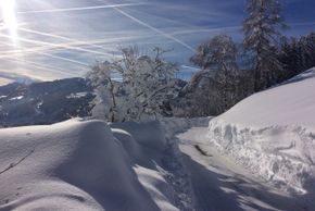 Detaillierte Infos zur Unterkunft Haus Erika