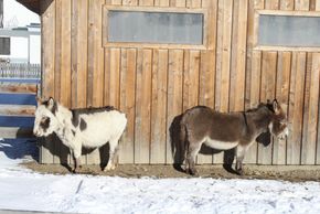Nubi und Noah lassen sich von den Sonnenstrahlen verwöhnen