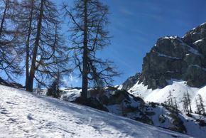 Detaillierte Infos zur Unterkunft Landhaus Flaschberger