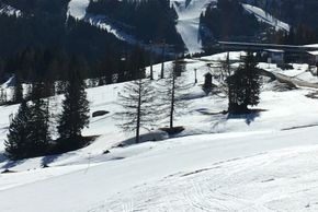 Detaillierte Infos zur Unterkunft Landhaus Flaschberger