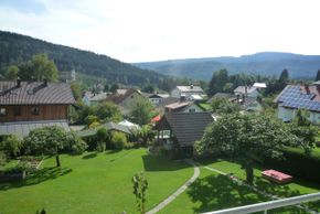 Blick über den Garten