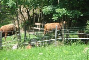 Detaillierte Infos zur Unterkunft Haus Höllbacher