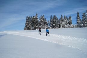 Detaillierte Infos zur Unterkunft Haus Janßen-Wehrle