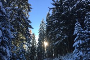 Detaillierte Infos zur Unterkunft Haus Kleinberg