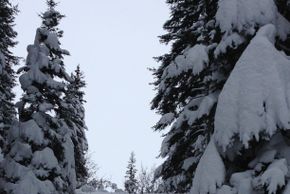 Detaillierte Infos zur Unterkunft Haus Patria