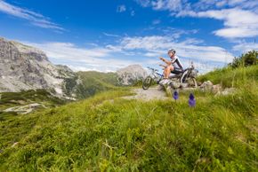 Haus Scheiblauer - nature - mountains