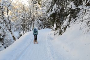 Detaillierte Infos zur Unterkunft Tramberger Apartments