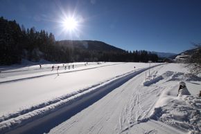 Detaillierte Infos zur Unterkunft Haus Waldruh