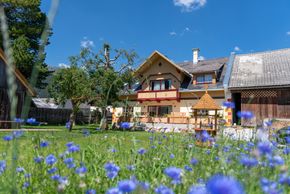 Detaillierte Infos zur Unterkunft Heimathaus Dengg Appartements