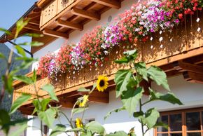 Detaillierte Infos zur Unterkunft Hölzlhof - Urlaub auf dem Bauernhof