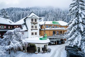 Detaillierte Infos zur Unterkunft Hotel GUT Trattlerhof & Chalets