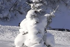 Detaillierte Infos zur Unterkunft Hotel Turracherhof