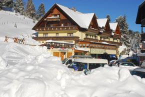 Detaillierte Infos zur Unterkunft Hotel Turracherhof