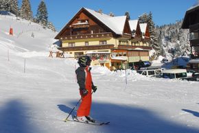 Detaillierte Infos zur Unterkunft Hotel Turracherhof