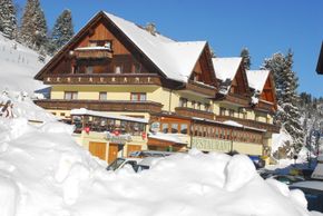 Detaillierte Infos zur Unterkunft Hotel Turracherhof