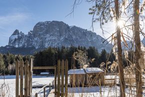 Detaillierte Infos zur Unterkunft Hotel Waldsee