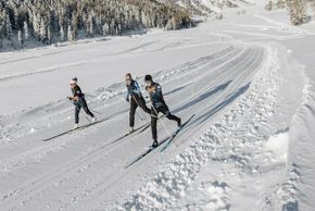 Detaillierte Infos zur Unterkunft Panoramahotel Watles