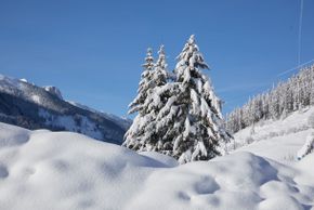 Detaillierte Infos zur Unterkunft Almhof Family Resort & SPA