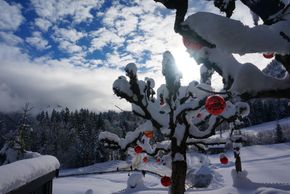 Ausblick vom Alpengasthof-Hotel Schwand